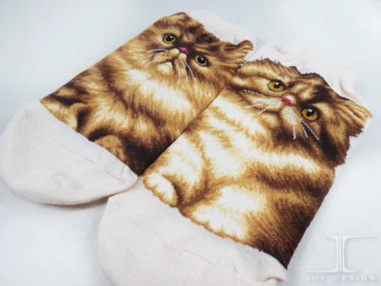 Cat Ankles - Persian Cream