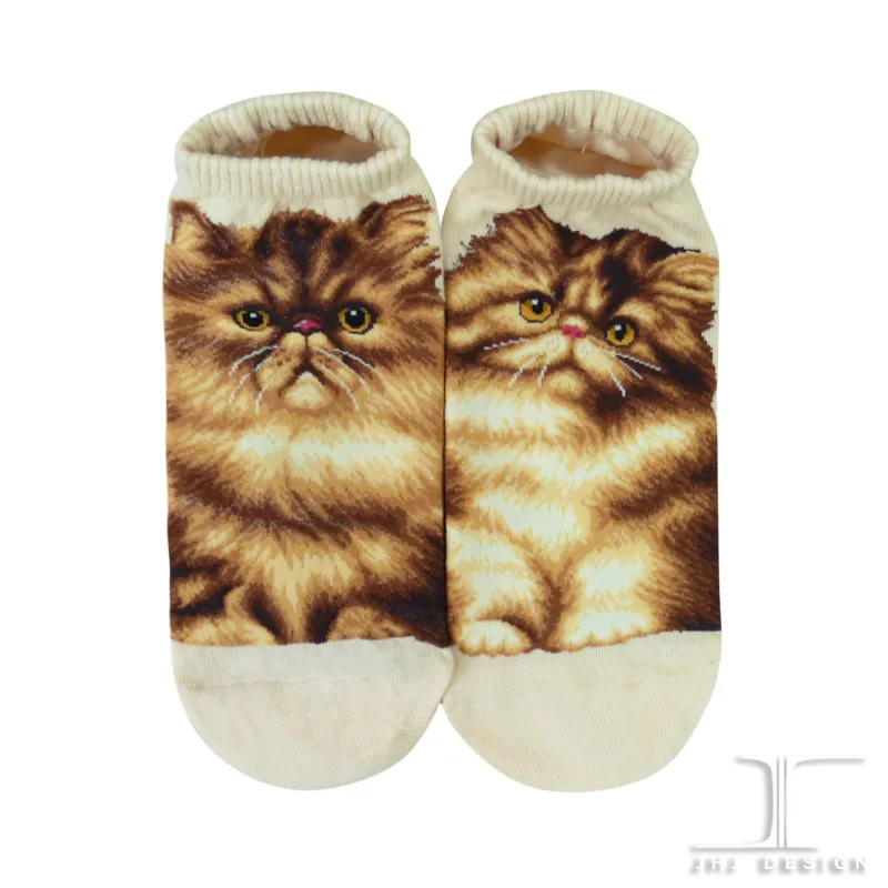 Cat Ankles - Persian Cream