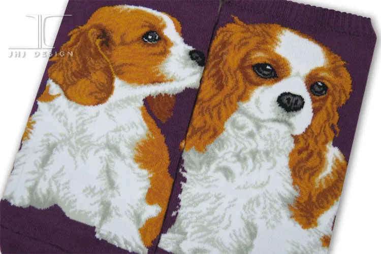 Dog Ankles - Cavalier King Charles