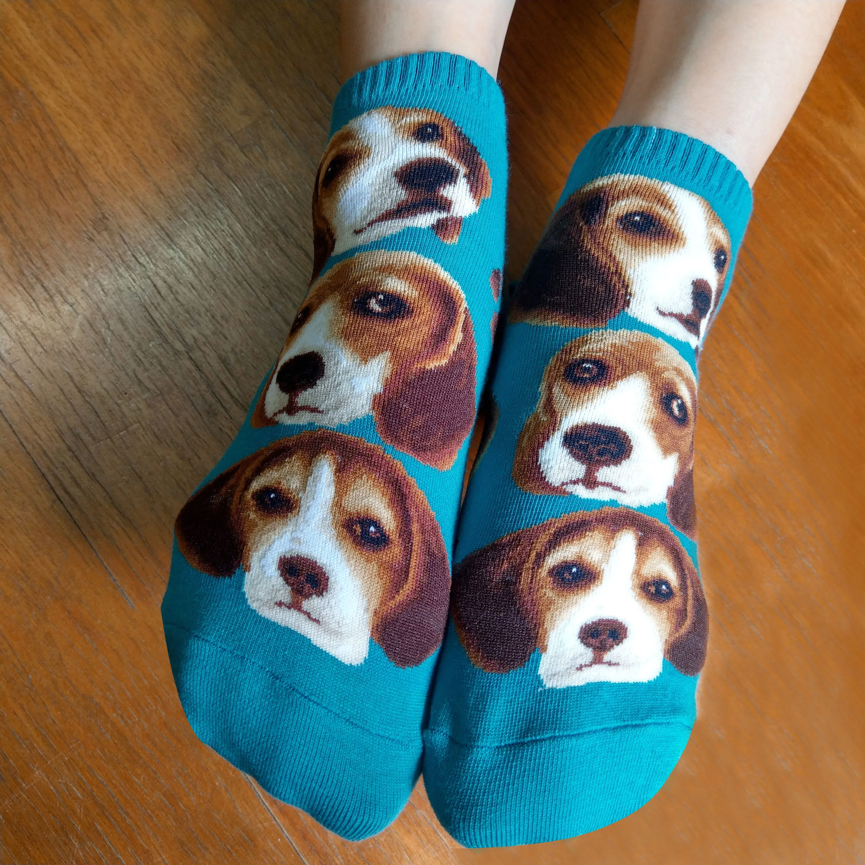 Dogs Ankles - Beagle Pup Face
