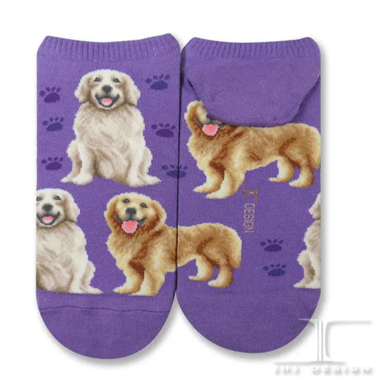 Dogs Ankles - Golden Retriever