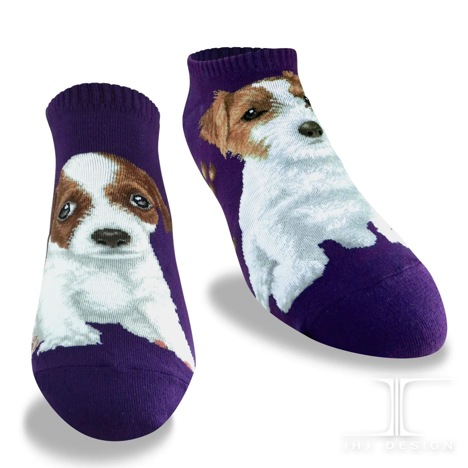 Dogs Ankles - Jack Russell Terrier